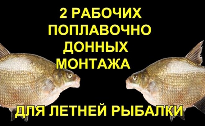 Вы поймаете больше крупной рыбы с этими монтажами
