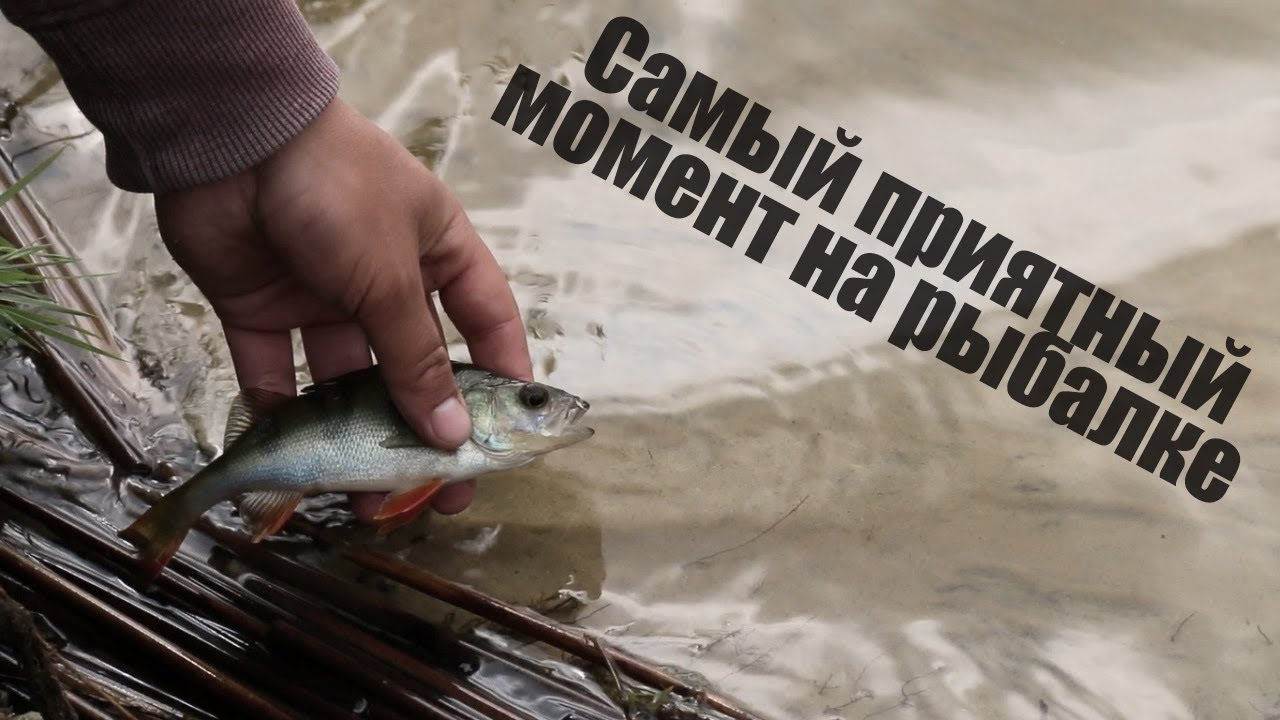 Самый приятный момент на рыбалке