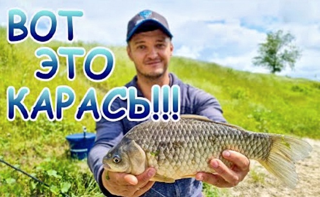 Мощные караси ловились один за другим!