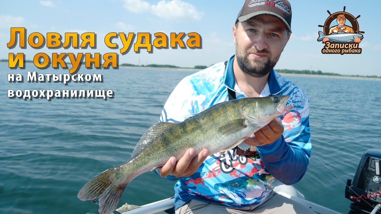Ловля судака и окуня на Матырском водохранилище
