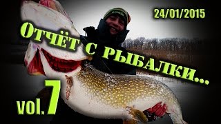 Трофейная щука