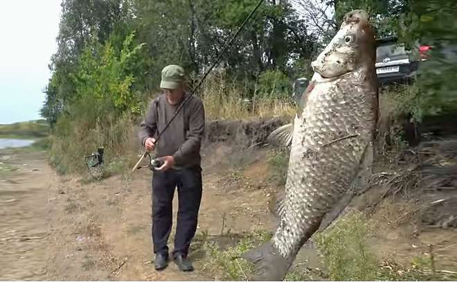 Рыбалка с ночевкой в Липецкой области как в Астрахани