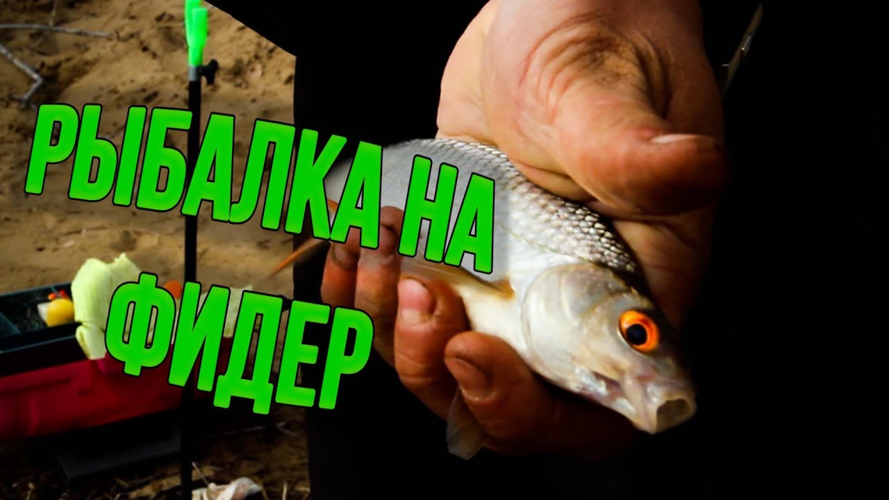 Рыбалка на фидер на Волге