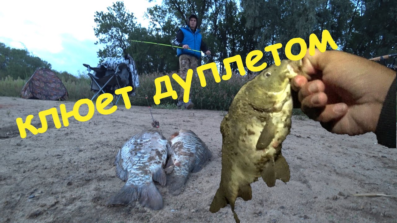 Рыбалка с ночевкой. Рыба жирует и клюёт дуплетом!