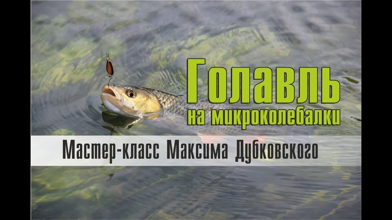 Голавль на микроколебалки