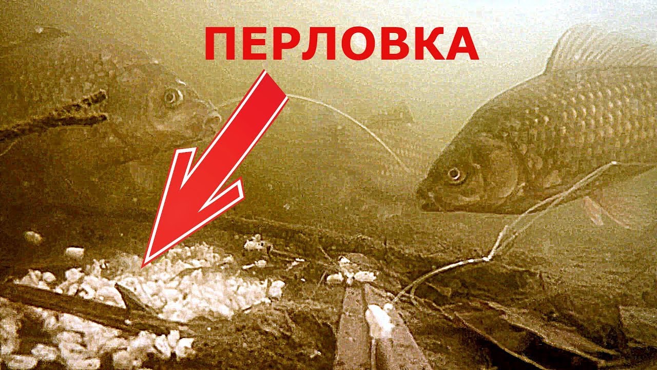 Карась и рак на перловку. Подводная съемка.