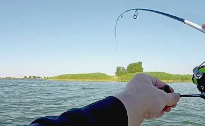 Спиннинг Daiwa Silver Creek. Обзор и проверка судаком.