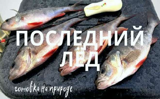 Я всё-таки поймал кабанчиков! Последний лёд.
