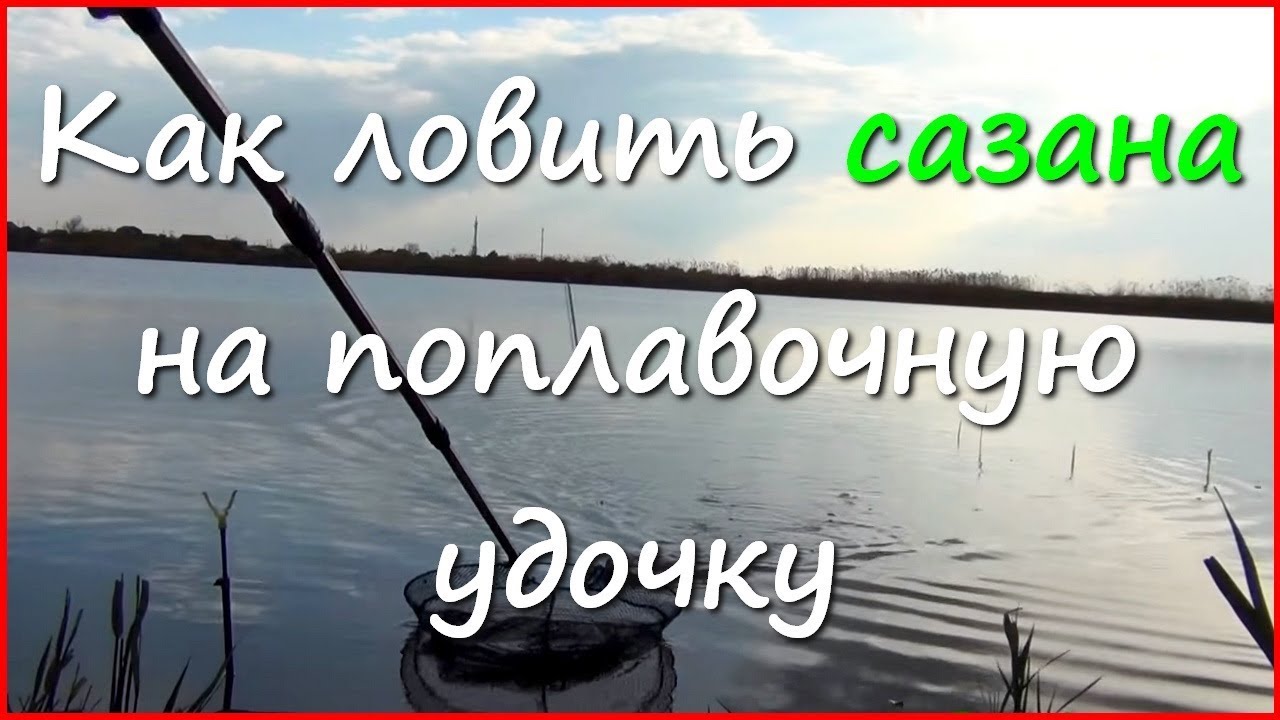 Ловля карася и сазана весной в Краснодарском крае&nbsp; часть3