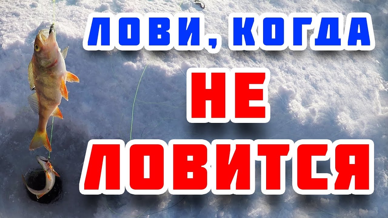 Мыс Песчанка, Братское водохранилище