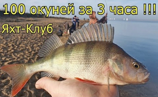 Дроп-шот баттл на яхт-клубе. Рыбалка в Калининграде.