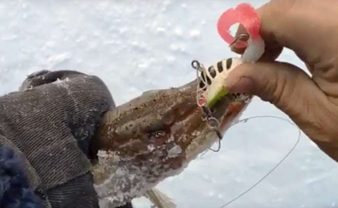 Рыбалка на Баар-Суох