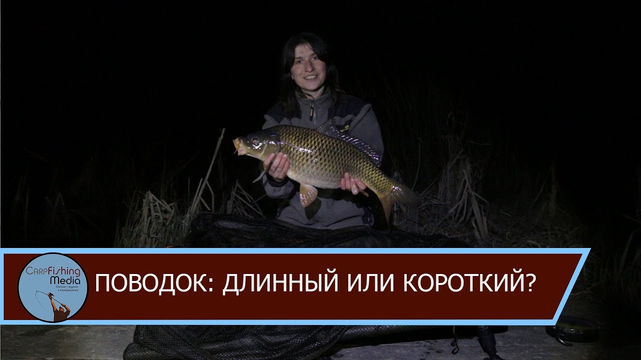 Открытие сезона. Поводок: длинный или короткий?
