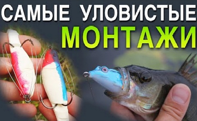 Самые уловистые монтажи для ловли щуки в траве