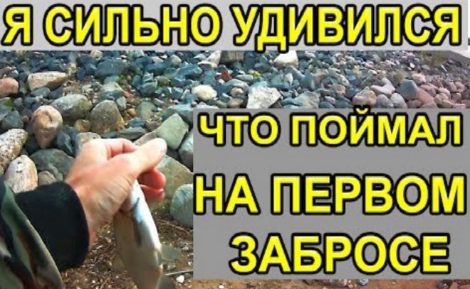 Закинув удочку в реку, я был приятно удивлён!
