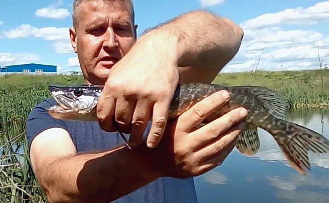 Рыбалка в Химках