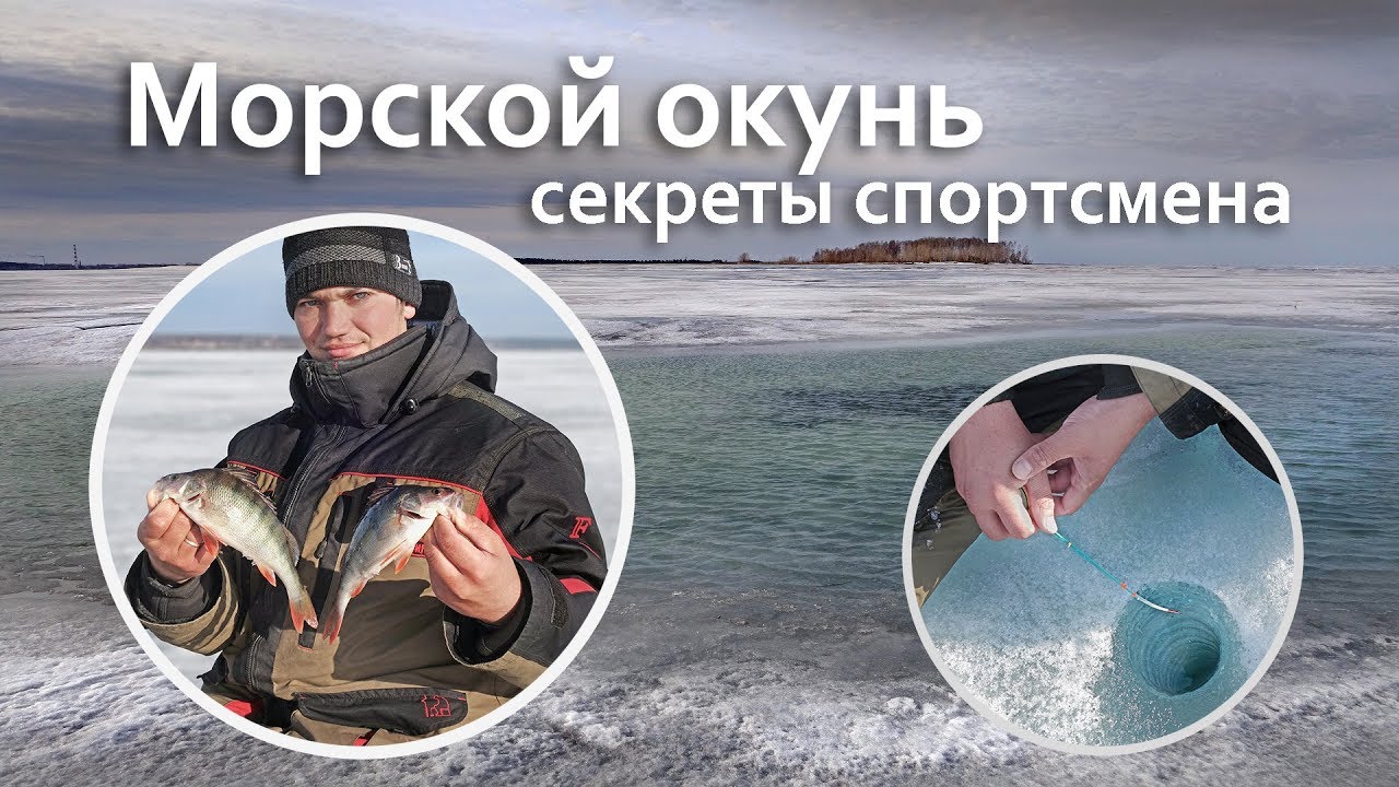 Секреты ловли окуня на водохранилище от спортсмена