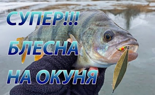 Зимняя блесна-лепесток. За окунем по старым лункам.
