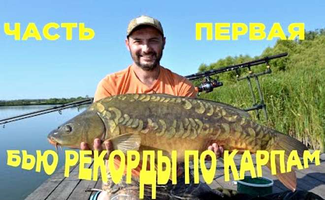Ловля больших карпов на водоёме Высокополье
