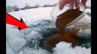 Секретная зимняя прикормка, о ней никто не знает!