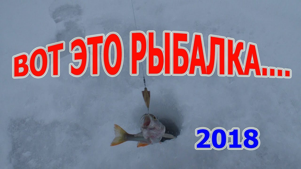 Вот это рыбалка! Вот это раздача окуня!