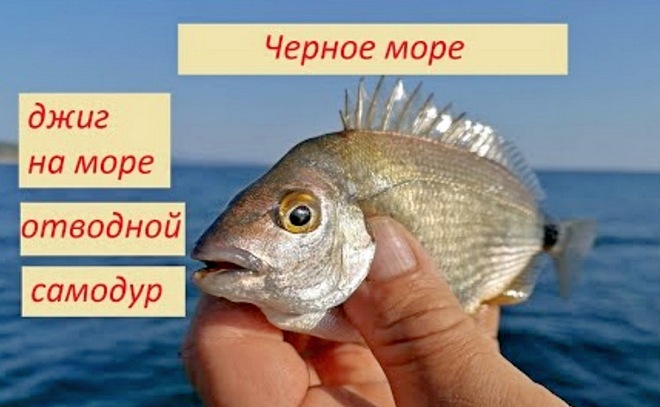 Морская рыбалка и день рождения