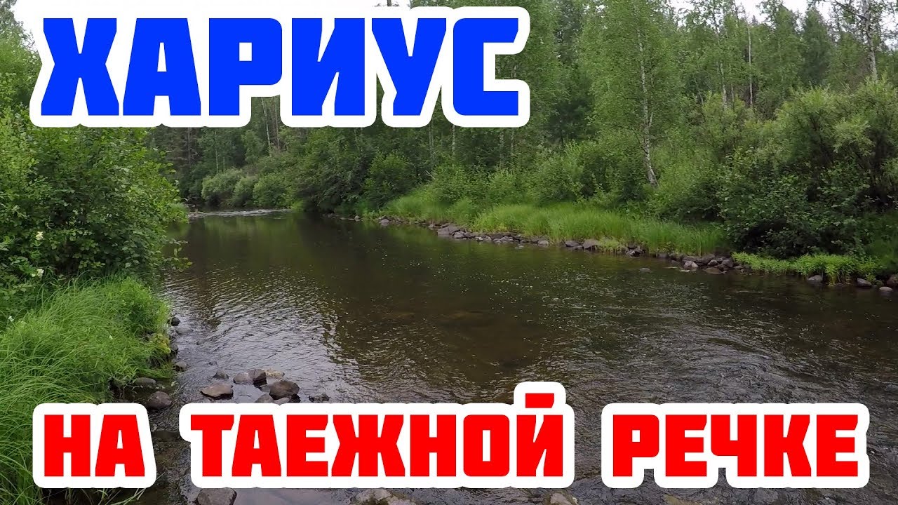 Одиночная рыбалка на таежной речке