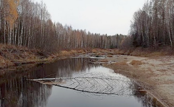 Проверенные приманки на окуня не подвели