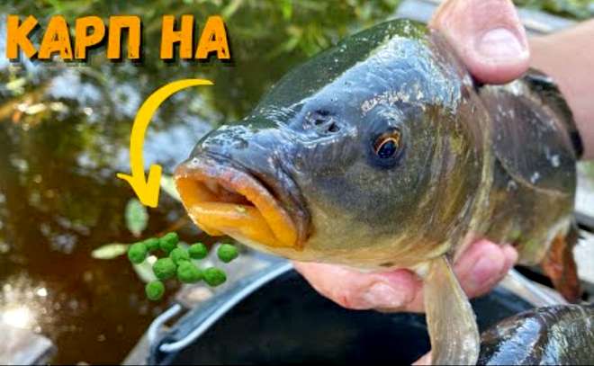 Эта насадка спасла провальную рыбалку! Рыбалка на карпа.