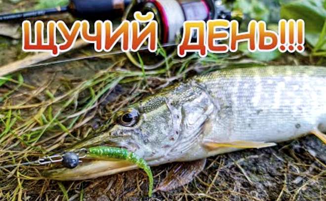 Микроджиг. Ловля щуки и окуня осенью с берега.