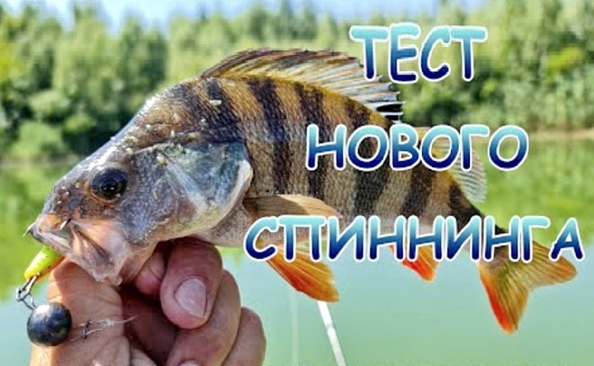 Джиг с лодки. Тест спиннинга NORSTREAM Navigator 782L.