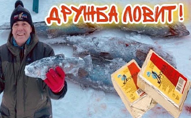 Поймал на «Дружбу»! Плавленый сыр ловит форель!