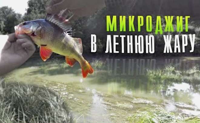 Микроджиг в летнюю жару