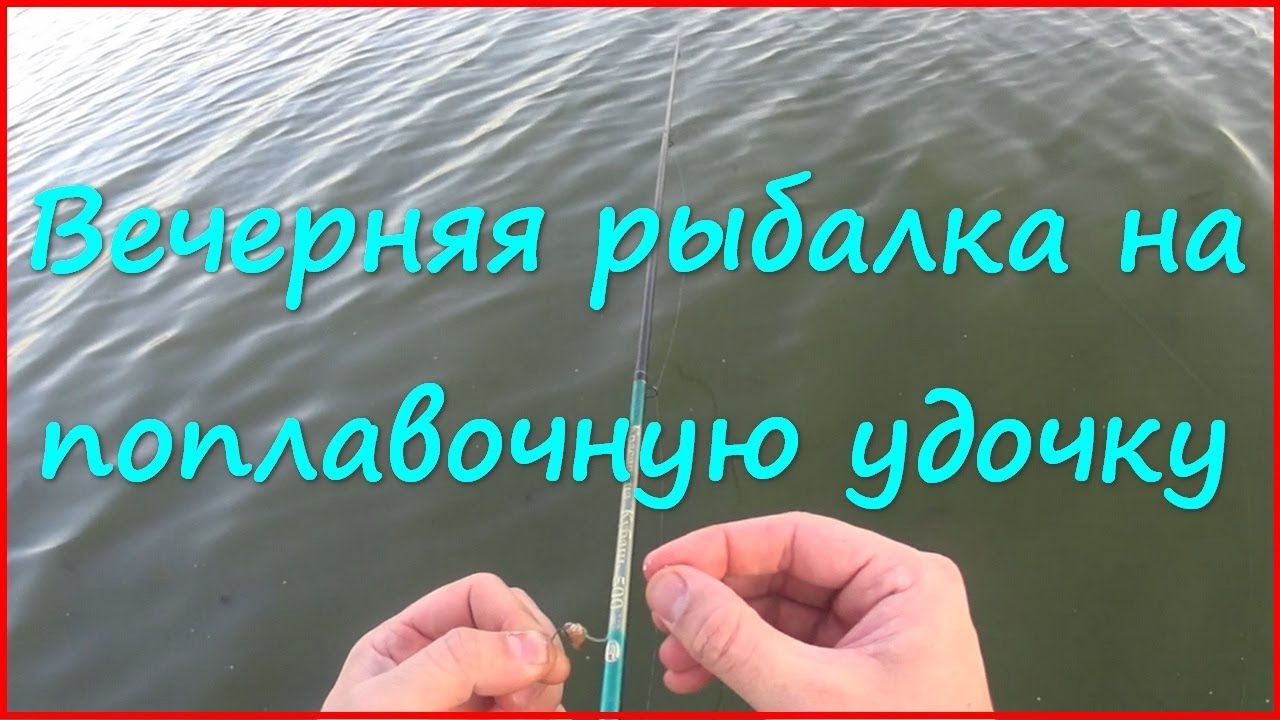 Наловить за час. Поплавочная удочка в августе.
