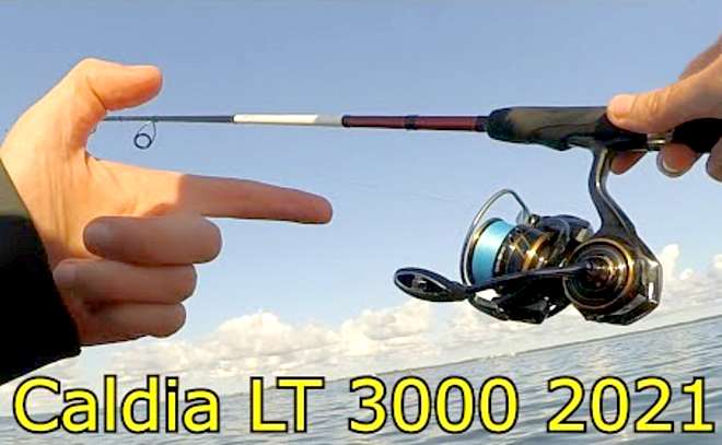 Катушка Daiwa Caldia LT 3000 2021. Обзор и проверка судаком.