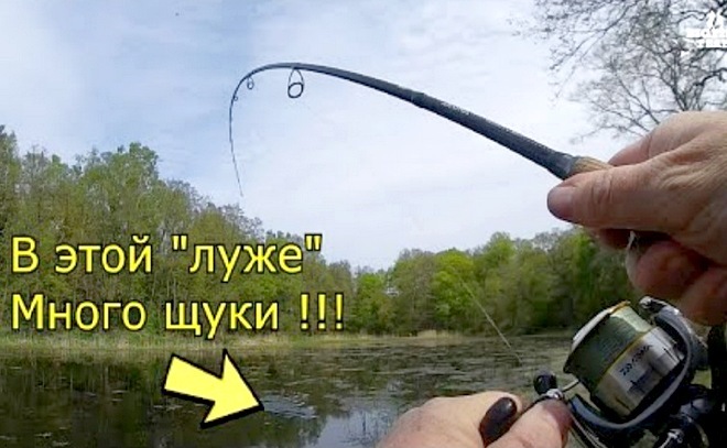 Велотур на жабовник! Рыбалка в Калининграде.