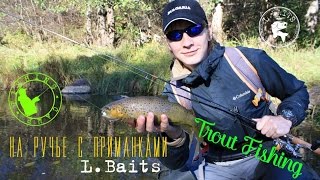 Видеоотчет. На ручье с L.Baits.