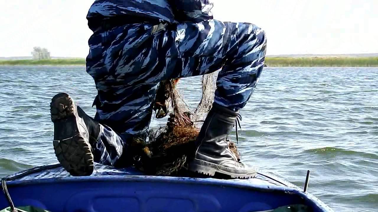 Рыболовные войска Димитровграда&nbsp; часть1