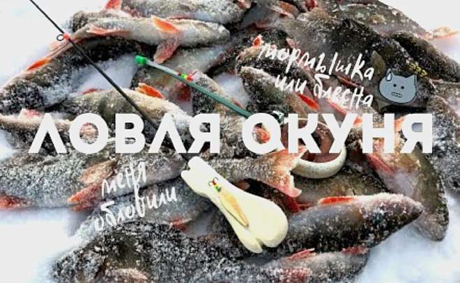 Окунь на безмотылку и блесну. Зимняя рыбалка 2020.