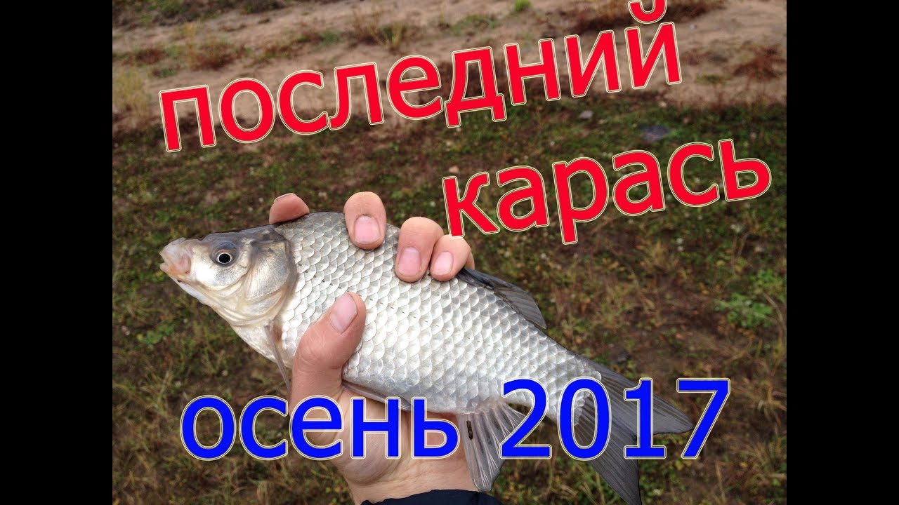 Рыбалка. Последний карась. Сентябрь 2017.