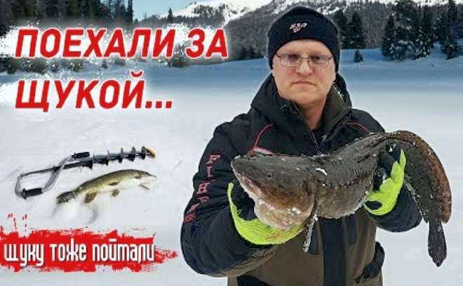 Крупный налим и щука на жерлицы, поставушки и кресты!