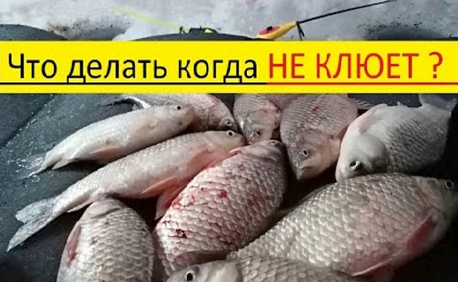 Зимняя рыбалка. Новые идеи - прикормка!