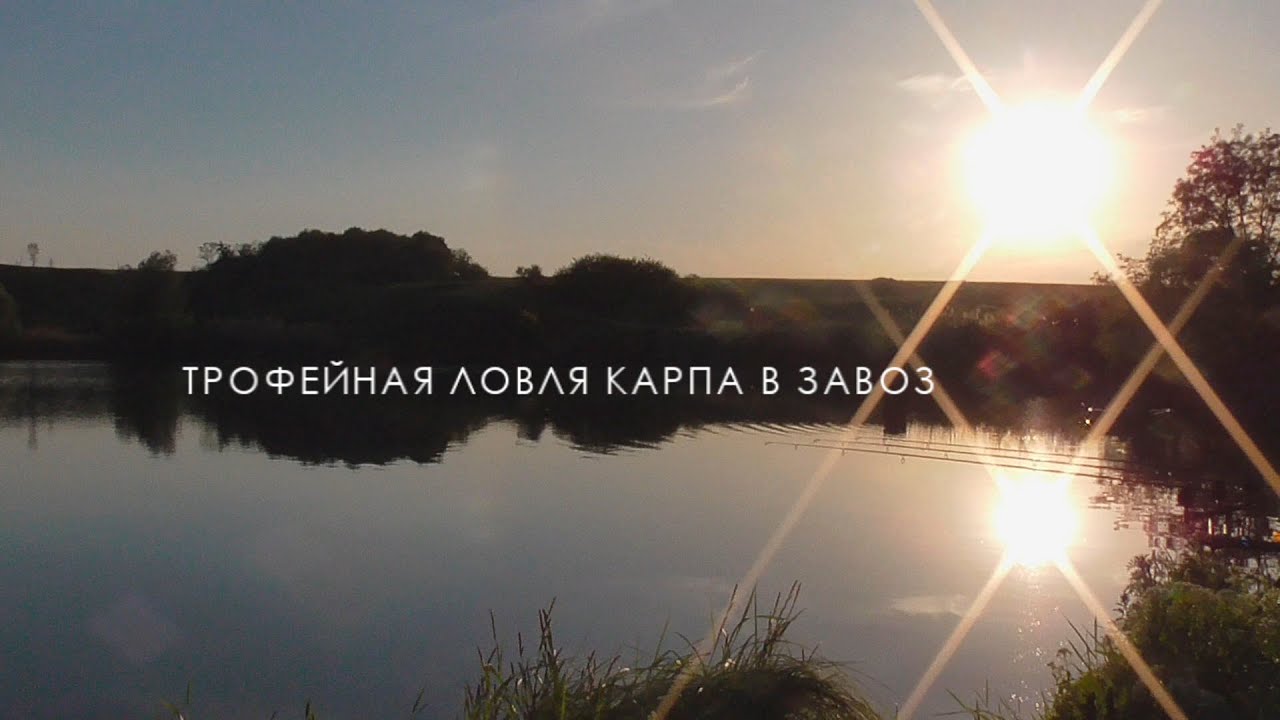 Ловля карпа на бойлы. Видео: Как отсечь мелочь.