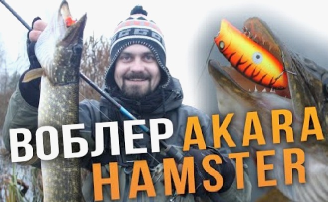 Универсальный воблер Akara Hamster 60F. Обзор на воде.