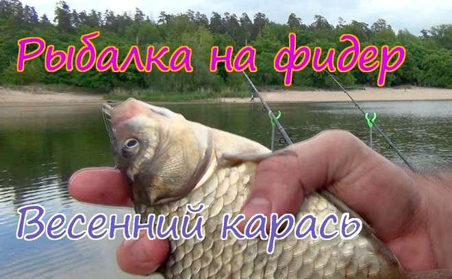 Рыбалка на фидер весной в черте города