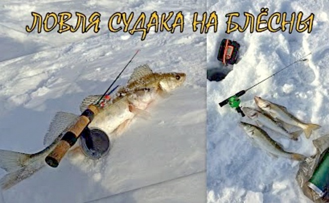 Рыбалка на 31 километре. Насоска.