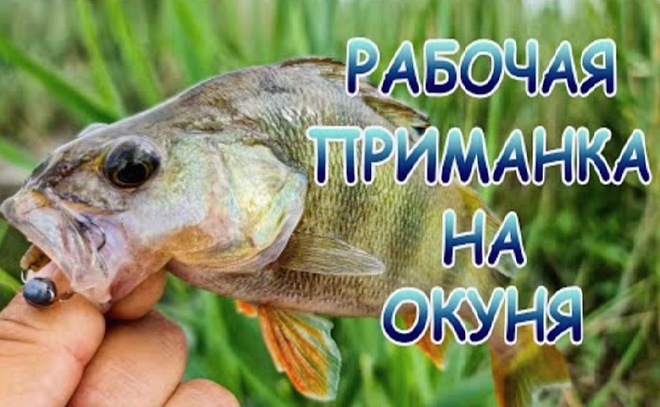 Окунь как с пулемёта!!! Ловился только на одну приманку!