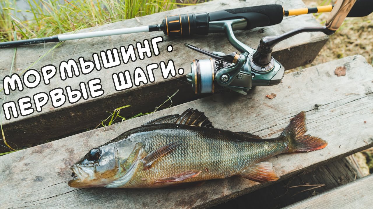 Мормышинг. Начало. Ловля в национальном парке.