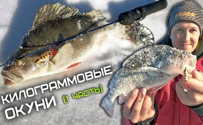 Зимняя рыбалка на балансир 2021