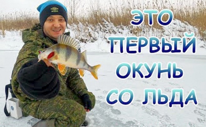 Зимняя блесна. Открытие сезона 2022. Окунь со льда.